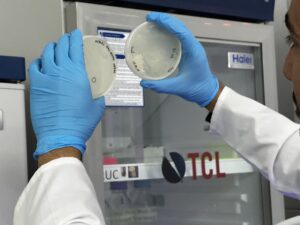 Investigación uach busca combatir el cáncer de vesícula biliar