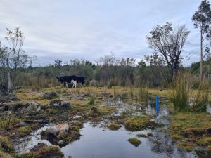Del laboratorio al territorio: UACh desarrolla investigaciones para una economía más sostenible y circular