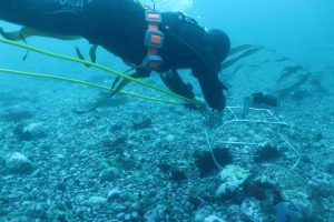 Del laboratorio al territorio: UACh desarrolla investigaciones para una economía más sostenible y circular